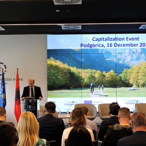 2 1 scaled 1 600x600